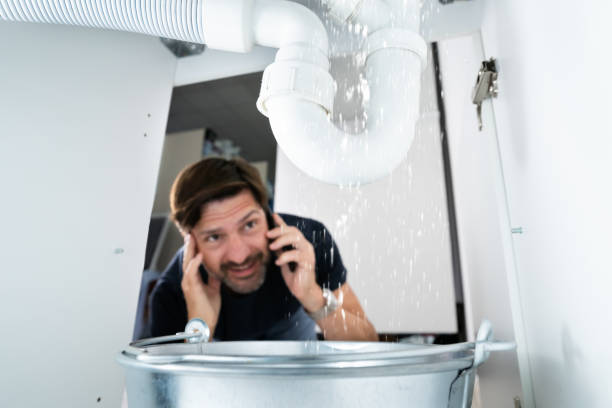 Best Local Plumber Services  in Bessemer, MI
